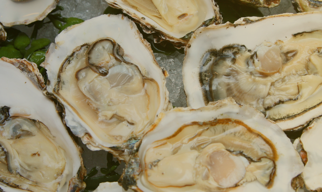 A Seafood Lover’s Guide to Essex: Coastal Treasures Await