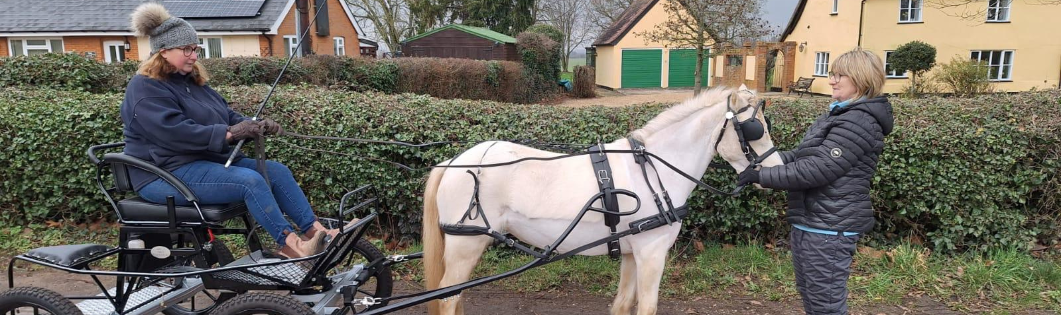 Home is Where the Horse Is: Essential Tips for Equestrian Property Buyers 1 Zoe Napier carriage riding