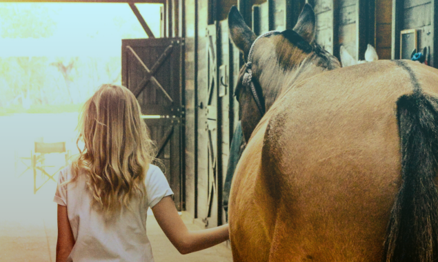 Home is Where the Horse Is: Essential Tips for Equestrian Property Buyers
