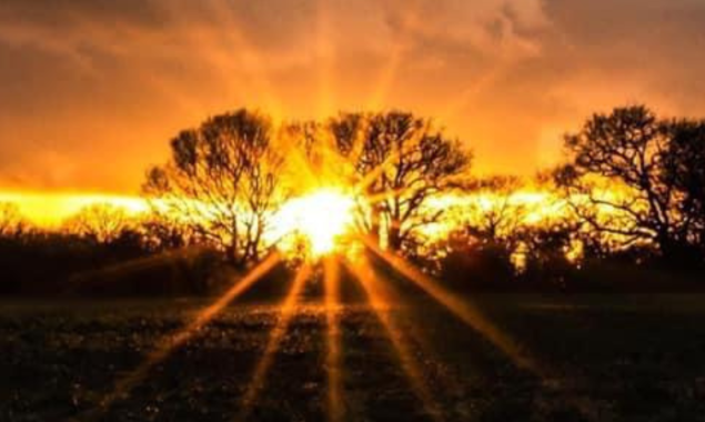 Living in the Countryside: Embracing the Charm and Challenges