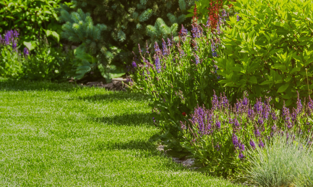 The True Value of Mature Gardens: Why Established Green Spaces Deserve Your Appreciation