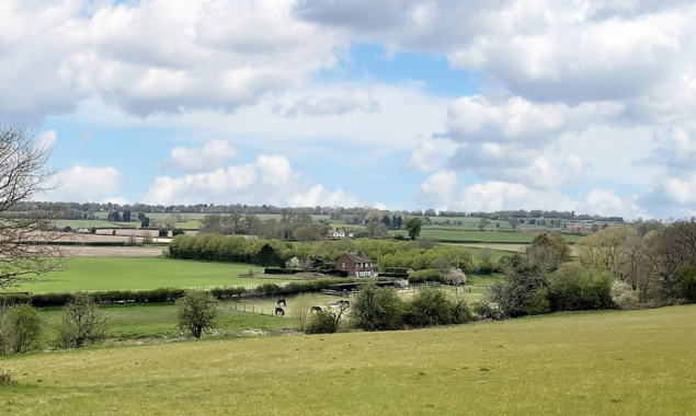Understanding the True Value of Buying or Selling Land for Grazing