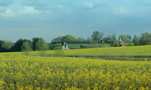 Why North Essex is Becoming the Destination of Choice for Rural Property Buyers
