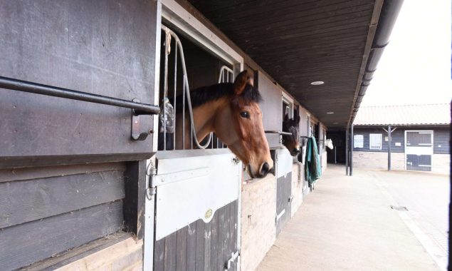 Planning Permission for Equestrian Properties: A Guide by an Expert