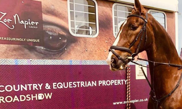 A Guide to Buying Your Own Equestrian Property in Essex & Suffolk