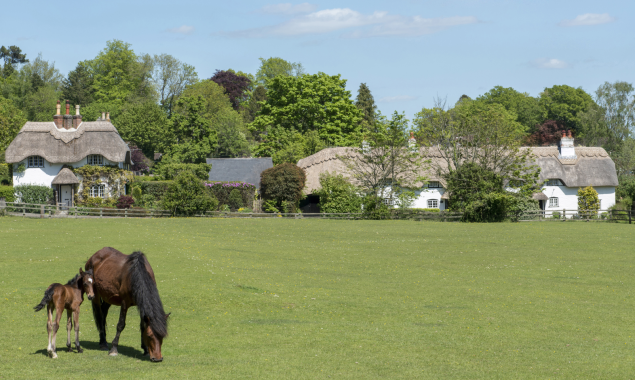 Horses for Courses: What Equestrian Buyers Really Look For